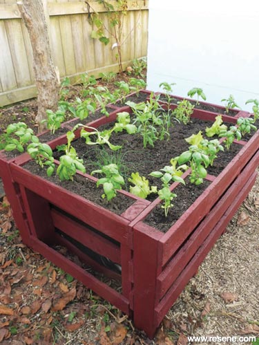 Make  a raised garden bed from pallets