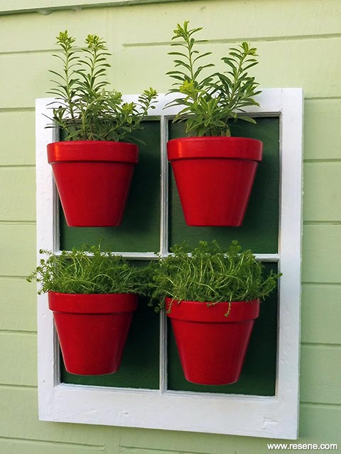 Window frame for the display of potted plants