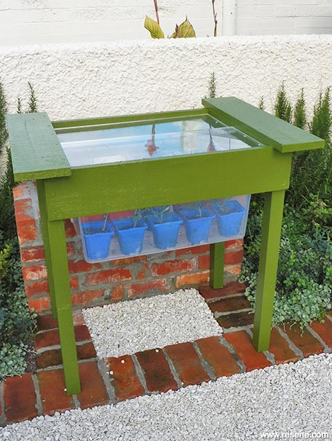 Build a propagating unit for your plants