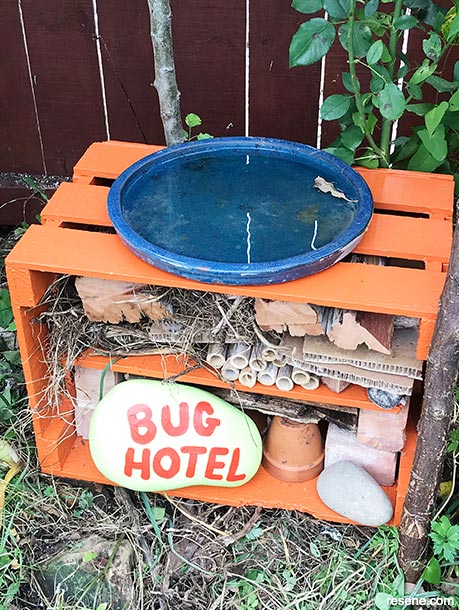 Make a bug hotel