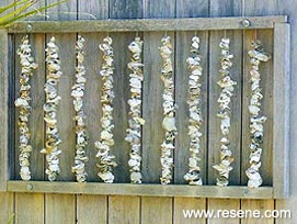 Abstract shell wall