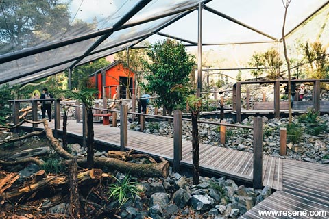 Kea enclosure, Wellington Zoo