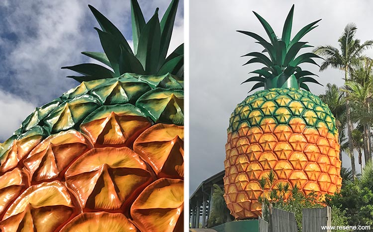 Pineapple detail completed