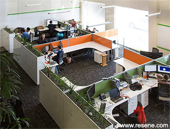 Resene Paints and ARANZ Geo's new headquarters office layout and redecoration 