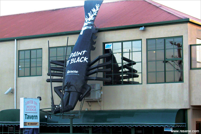 Giant lobster in Kaikoura