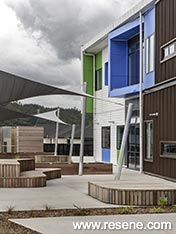 A colourful triplet - Matua Ngaru Schoo, Te Uho O Te Nikau Primary School, Te Ao Marama School