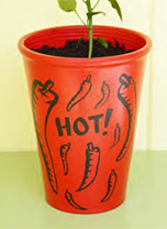 How to create a hot chilli pot