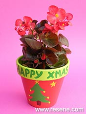 Christmas plant pots