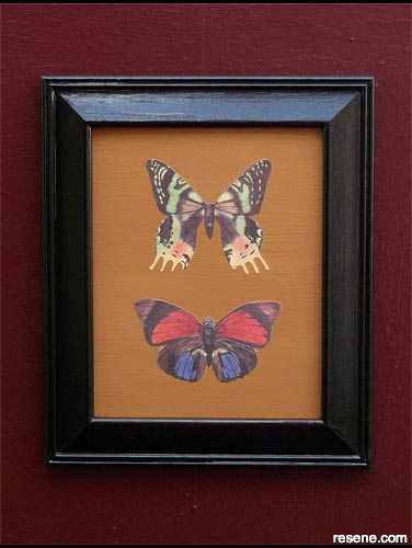 How to create a butterfly collage