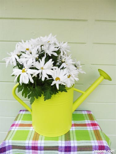 Watering can plant holder 