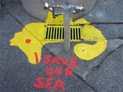 Botany Downs School - Save our sea