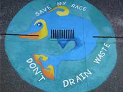 Northcross Intermediate - Save my race, don't drain waste