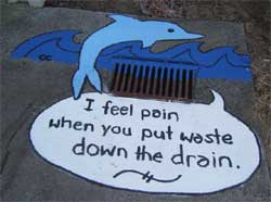 I feel pain when you put waste down the drain