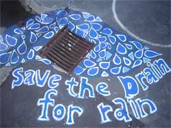 Save the drain for rain