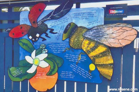 Ahipara School mural