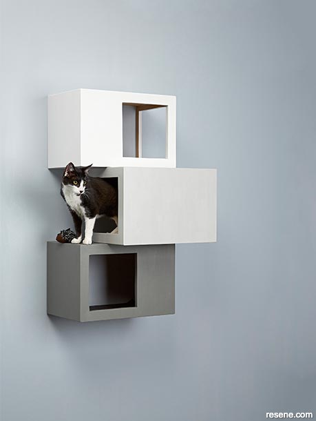 Create a sleeping space for your cat