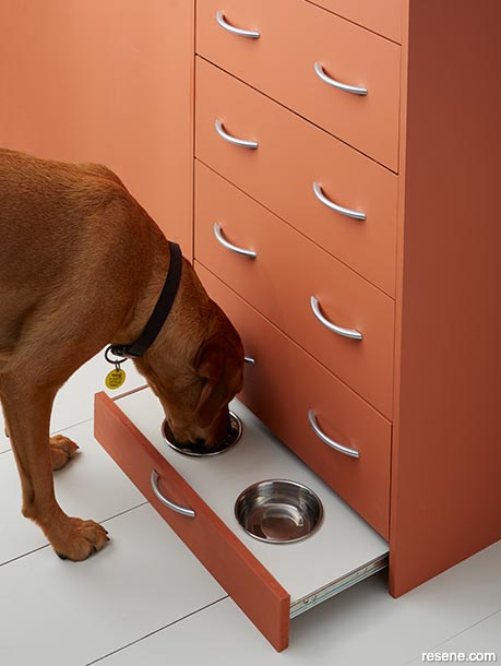 Create a drawer for your dog in the kitchen