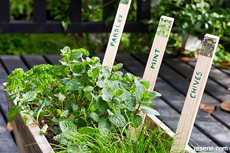 Funky herb labels for your garden