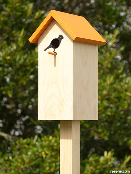 Make a bird house for your garden
