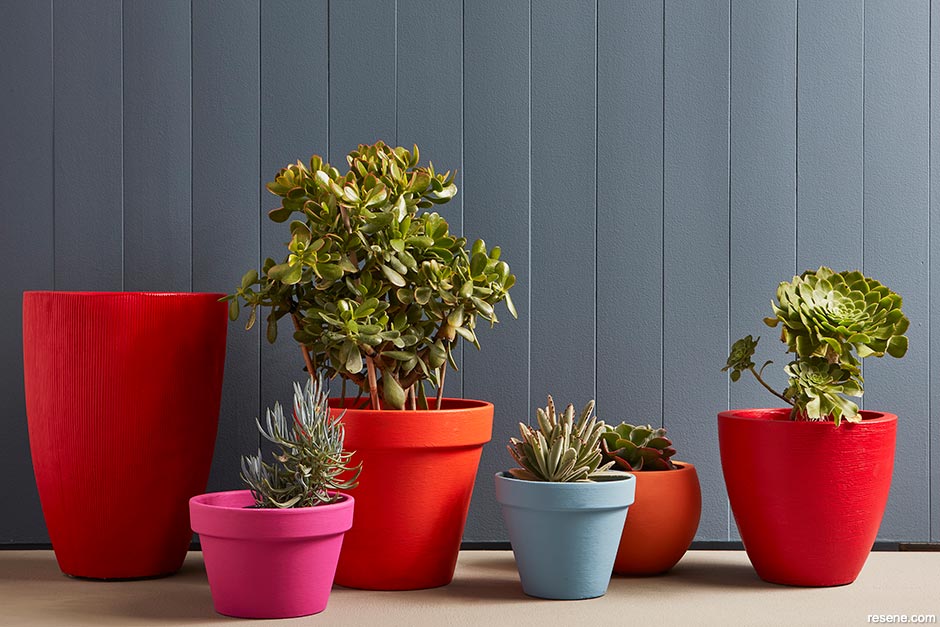 Paint plant pots with your kids