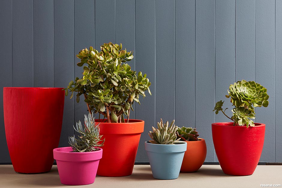 Bright and bold painted plant pots