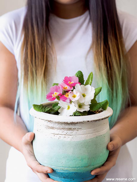 A dip-dye flower pot