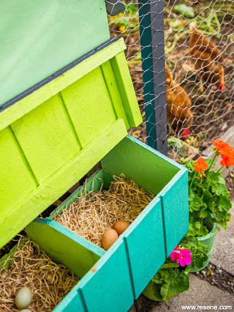A colourful hen house
