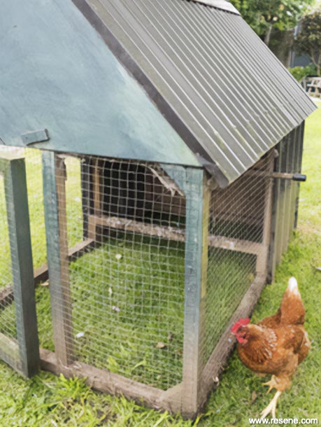 Hen house before painting