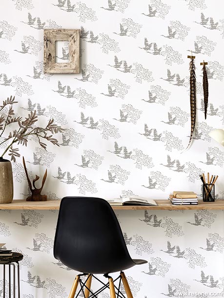 Grey and white birds - Resene Wallpaper HAN100319199