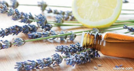 Essential oils in your home