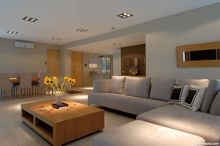 Modern and spacious living room