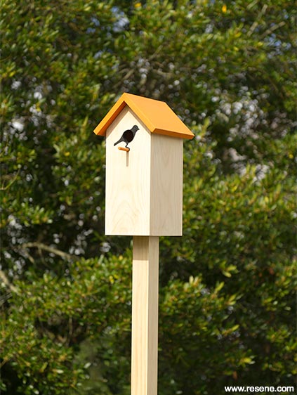 How To Build A Birdhouse Habitat, Wooden Bird Houses Nz