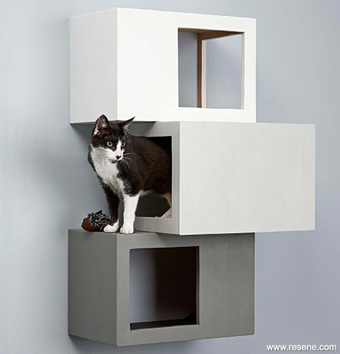 Make this cube style cat tree - your cat will love it.