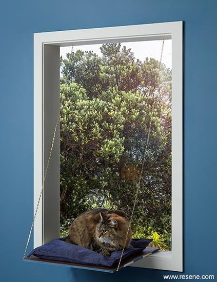 A sunny fold down window seat for your cat