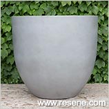 Concrete/Resin Plant Potq