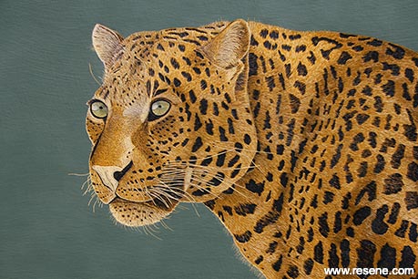 Leopard artwork