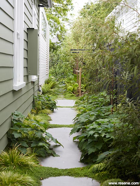 Garden walkway lined in ferns and mosses