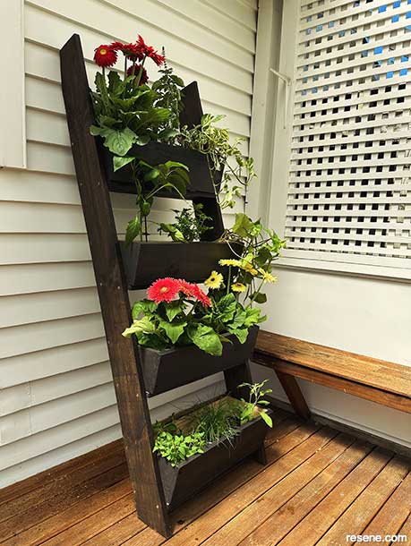 Growing a garden in small spaces
