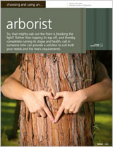 Choosing and using an arborist