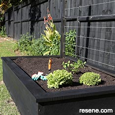 Make a raised vegetable garden