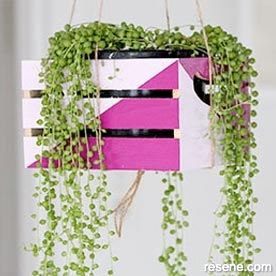 Hanging plant feature