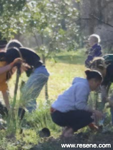 Te Huka Waiohinganga (Esk) River Care Group – native tree restoration project