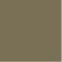COLORSTEEL® Lichen colour match is Resene Lichen