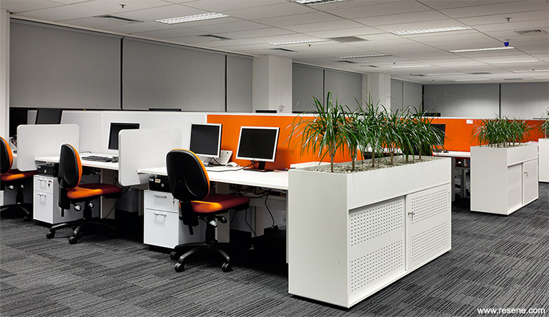 Qual IT open plan offices