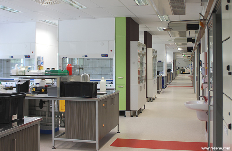 SCION Laboratory renovation