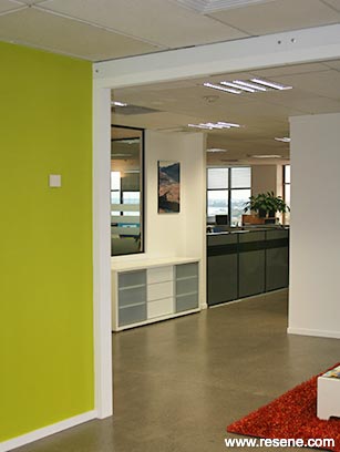 Green and white offices