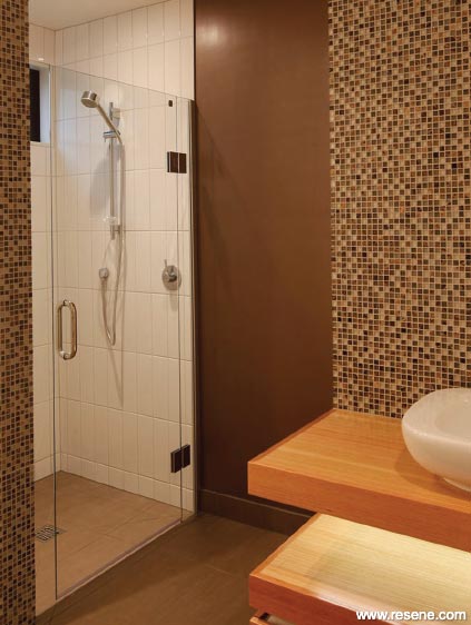 Modern brown and tile bathroom