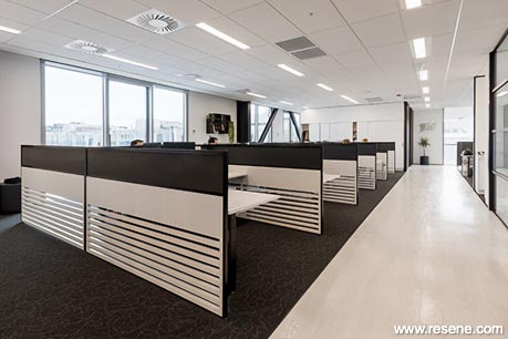 Black and white office cubicles