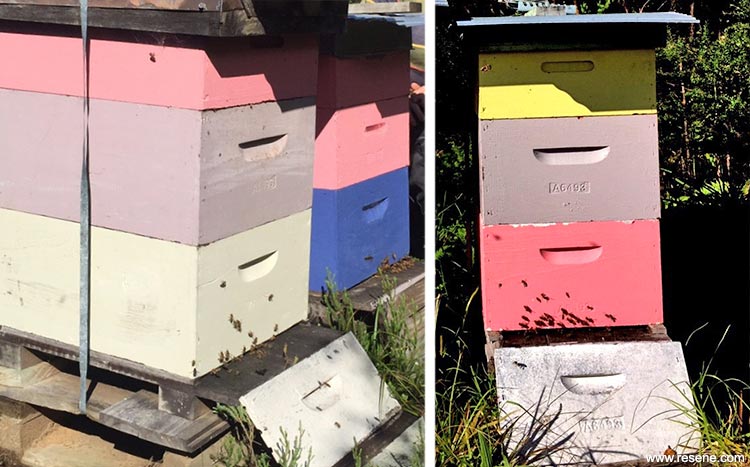 Beehive colour options