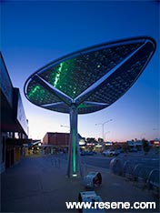 Shade Structures and Public Lighting